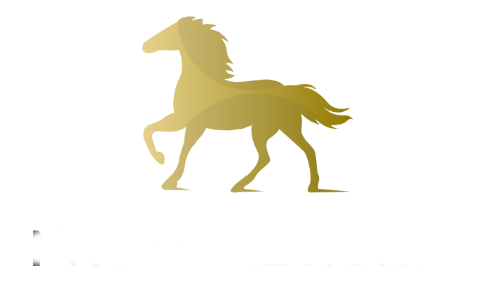 Nacional Horse